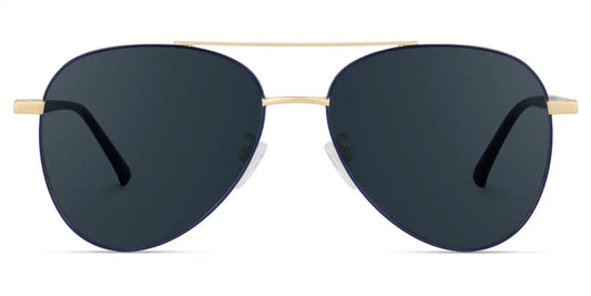 Paige Blue-Gold Aviator Sunglasses