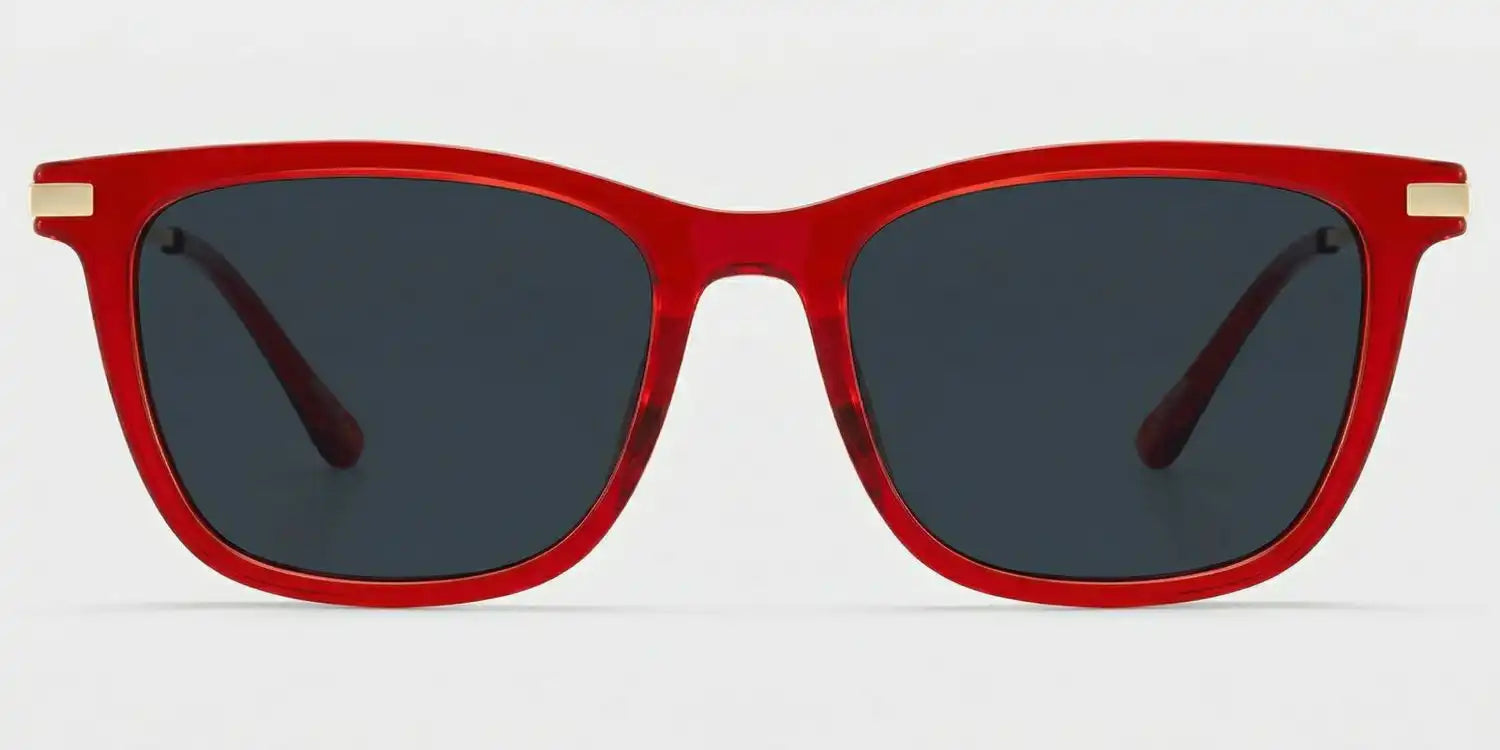 zeeloolstore.com