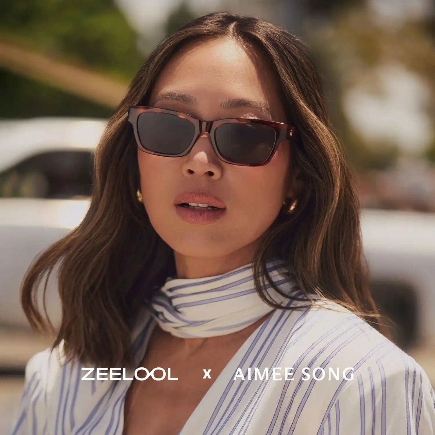 zeeloolstore.com