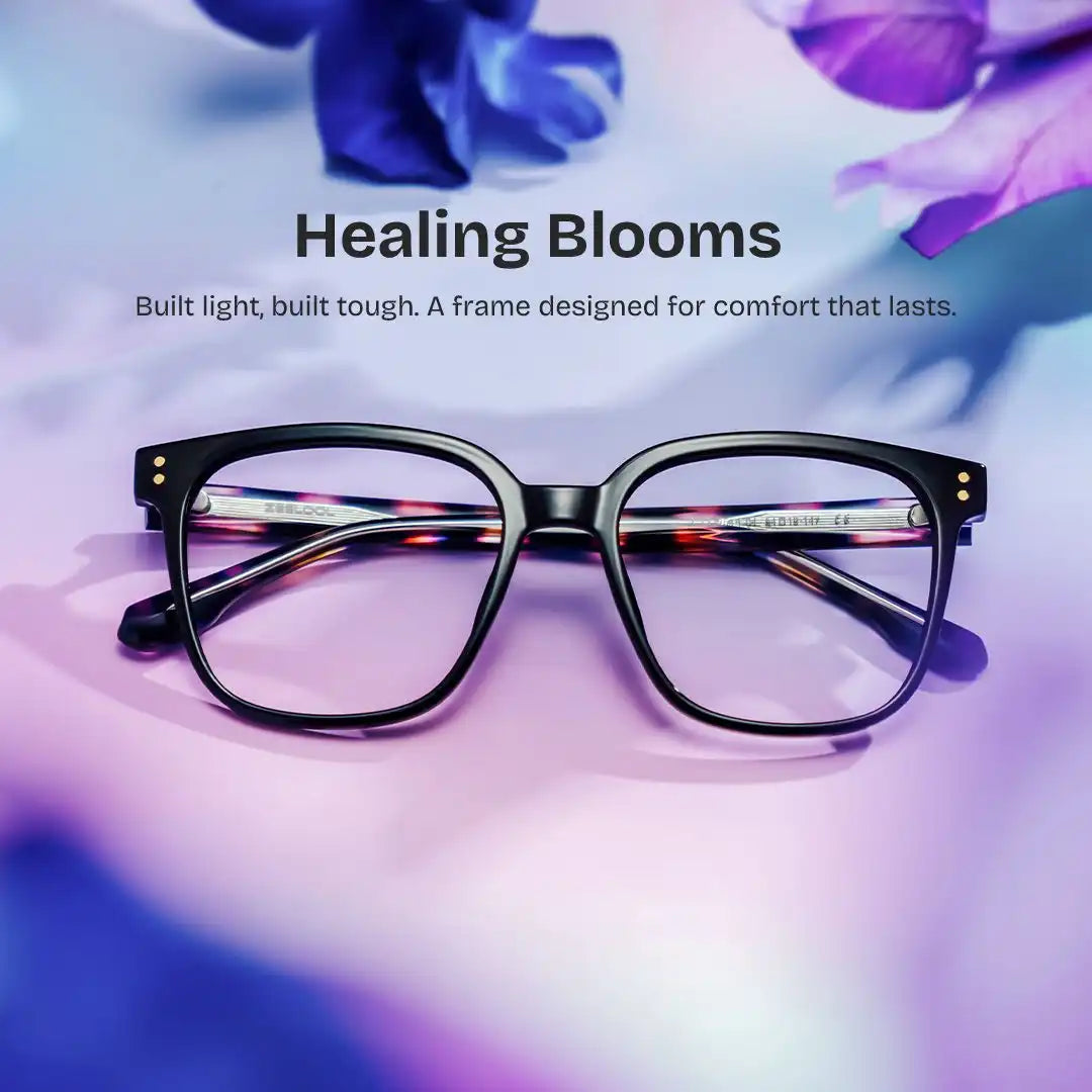 zeeloolstore.com